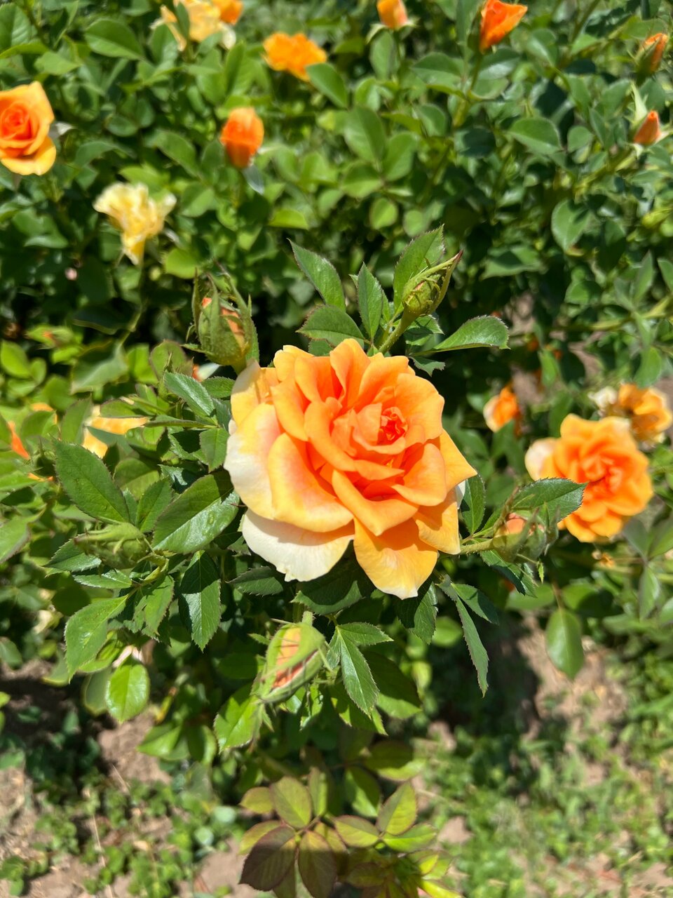 Гостиница Старт Волгоград-168