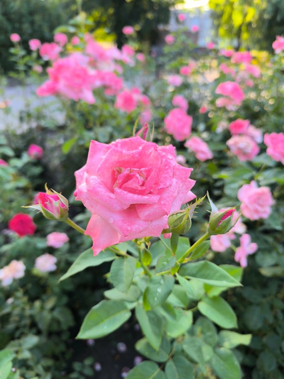 Гостиница Старт Волгоград-186