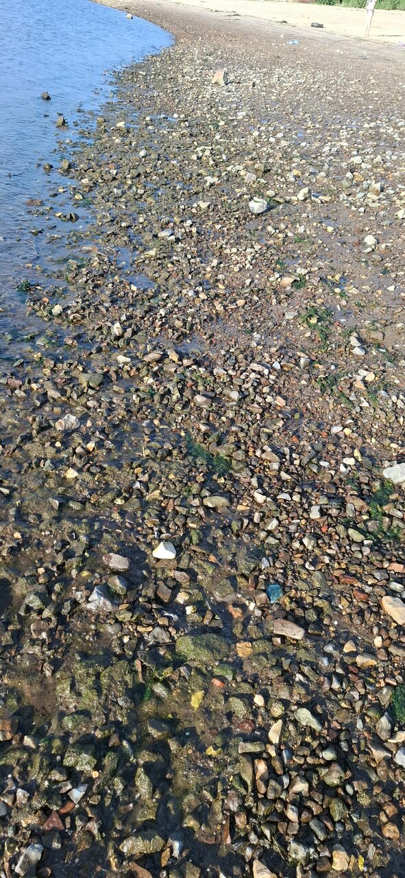 Гостиница Старт Волгоград-172