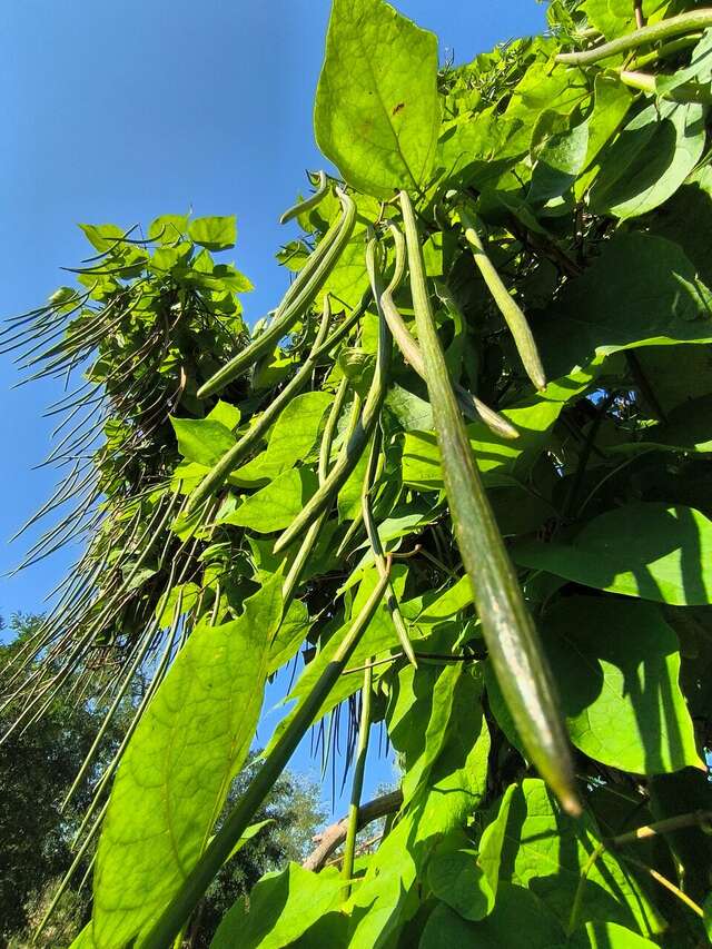 Гостиница Старт Волгоград-223