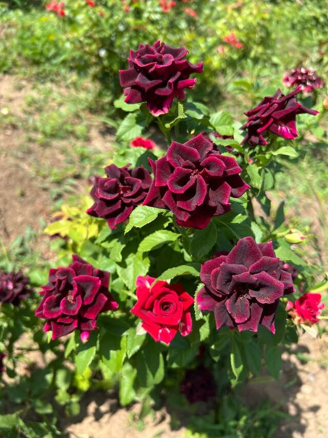 Гостиница Старт Волгоград-160