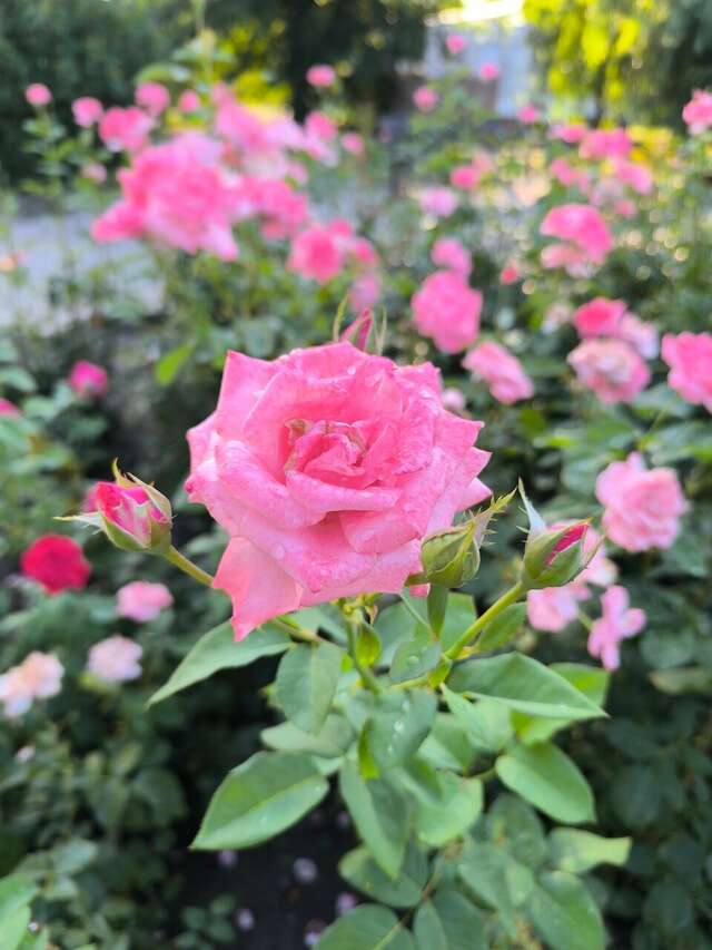 Гостиница Старт Волгоград-185