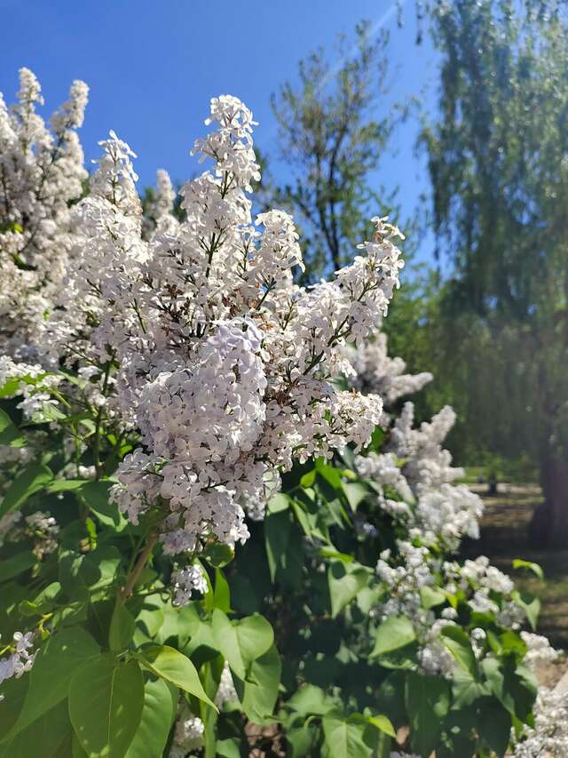 Гостиница Старт Волгоград-124
