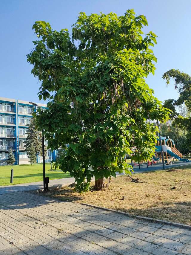 Гостиница Старт Волгоград-183